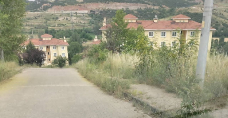 Kaldırımlarda büyüyen otlar, vatandaşlarda yılan korkusuna sebep oluyor