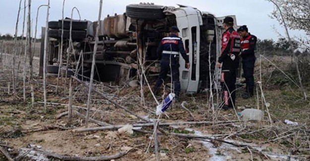 Kamyon Devrildi, 20 Ton Süt Tarlaya Döküldü
