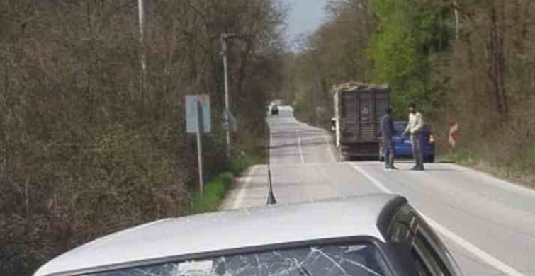 Kamyondan Fırlayan Kütük Otomobile Saplandı