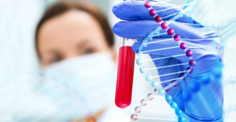 Kan grubu nasıl öğrenilir? Kan grubu testine aç karnına mı gidilir? Kan grubu internetten öğrenilir mi?  Kan grubu test sonucu öğrenme