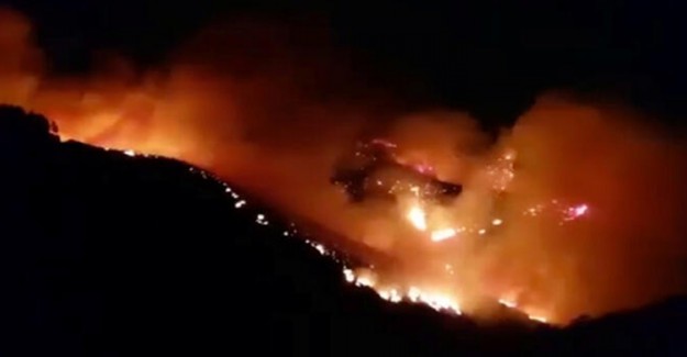 Kanarya Adaları'nda Devam Eden Orman Yangınında Bin Hektarlık Alan Kül Oldu 