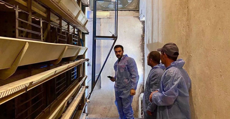 Kanatlı hayvan işletmelerine yönelik denetim