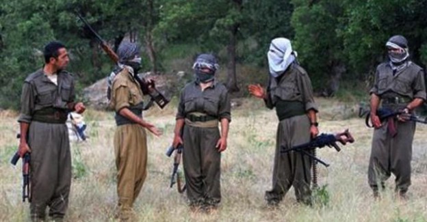 Kandil'in Elebaşıları Alay Konusu Oldu
