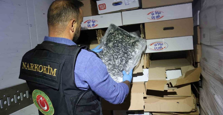Kapıkule'de tavuk kolilerinden uyuşturucu çıktı: 526 kilo esrar ele geçirildi