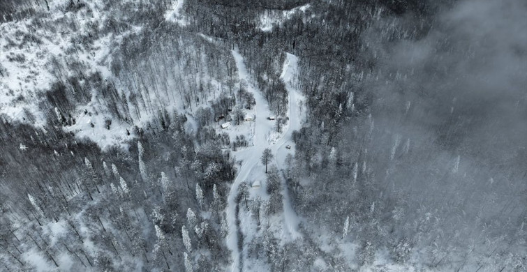 Kar nedeniyle 117 köy yolu ulaşıma kapandı