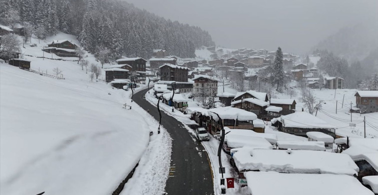 Kar Yağışı Doğu Karadeniz'i Etkisi Altına Aldı