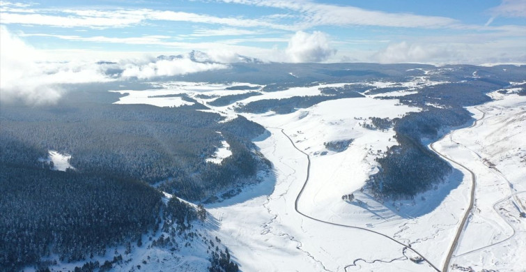 Kar Yağışı Kars'ın Sarıçam Ormanlarını Beyaza Bürüdü