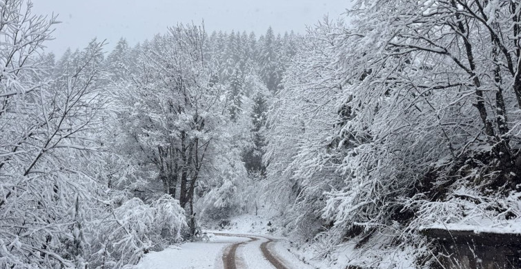 Kar Yağışı Orta ve Doğu Karadeniz'de Hayatı Olumsuz Etkiliyor