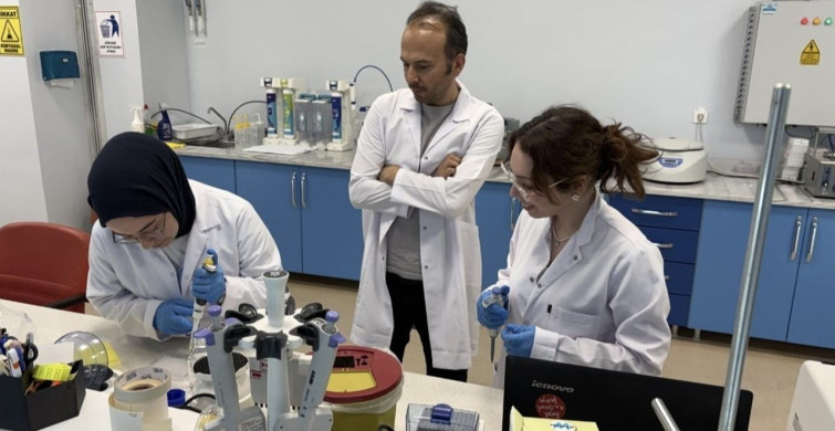 Karabük Üniversitesi'nde biyolojik yaşı belirleyecek yerli test geliştiriliyor
