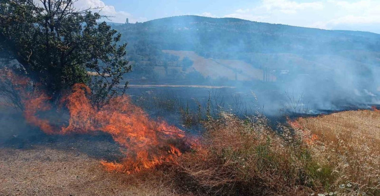 Karabük'te anız yangını havadan ve karadan müdahaleyle kontrol altına alındı