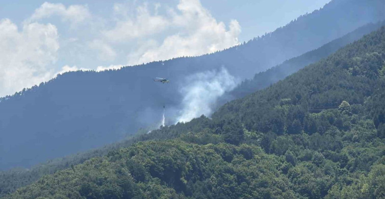 Karabük'te çıkan örtü yangını kontrol altına alındı