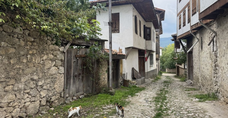 Karabük'te Kültür Yolculuğu: Safranbolu ve Hadrianopolis