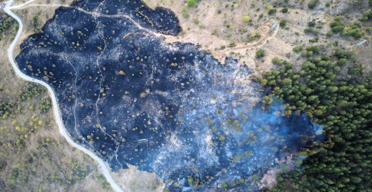 Karabük'te Orman Yangını Kontrol Altına Alındı