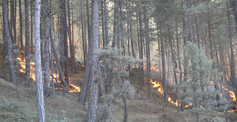 Karabük'te Orman Yangınına Hızla Müdahale Ediliyor