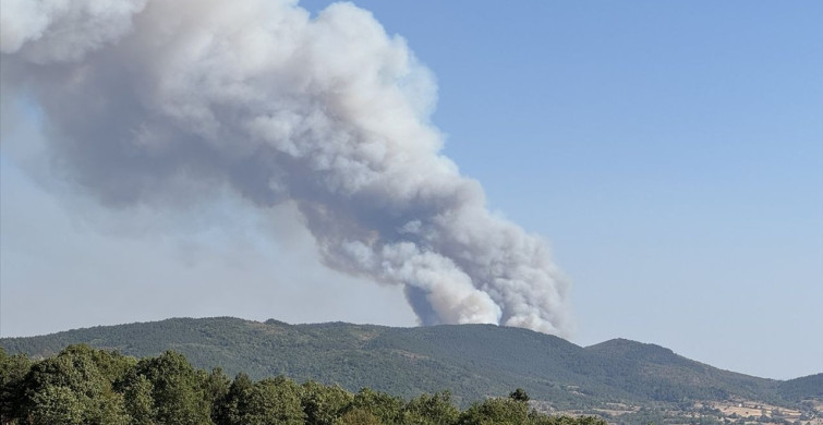 Karabük'te Orman Yangınına Müdahale Başlatıldı