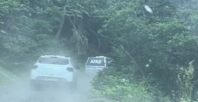 Karabük'te orman yolunda devrilen kamyonun sürücüsü yaralandı