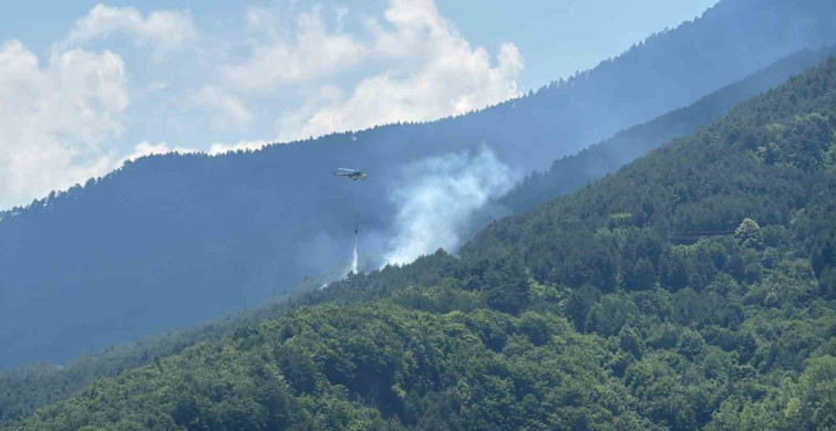 Karabük'te ormanlık alanda yangın: havadan ve karadan müdahale sürüyor