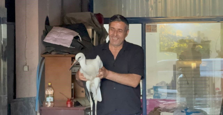 Karabük'te oto yıkamaya sığınan leylek koruma altına alındı