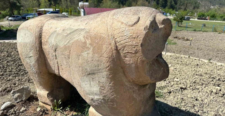 Karabük'te Tarihi Eser Operasyonu: Roma Dönemi Aslan Heykeli Ele Geçirildi