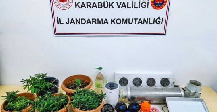 Karabük'te uyuşturucu operasyonu: Skunk serası ortaya çıkarıldı