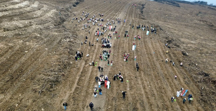 Karabük'te Yangın Bölgesine 2 Bin 26 Fidan Dikildi