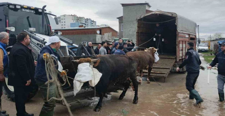 Karacabey Belediyesi Yoğun Yağışlarla Mücadele Ediyor