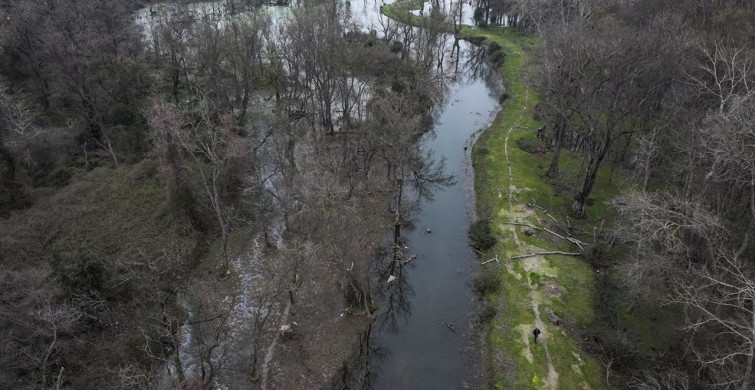 Karacabey Longozu Yağışlarla Canlandı