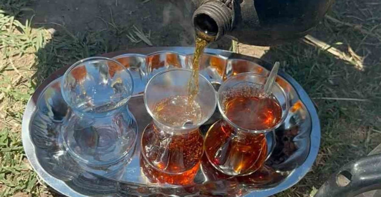 Karacabey'de Tarım İşçileri Öğle Molasında Odun Ateşi Çayı İle Dinleniyor