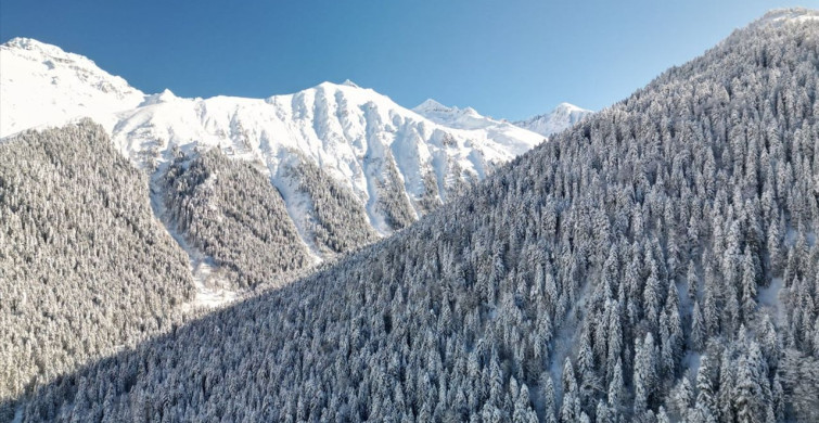 Karadeniz Bölgesi'nde Kar ve Soğuk Hava Etkisini Sürdürüyor