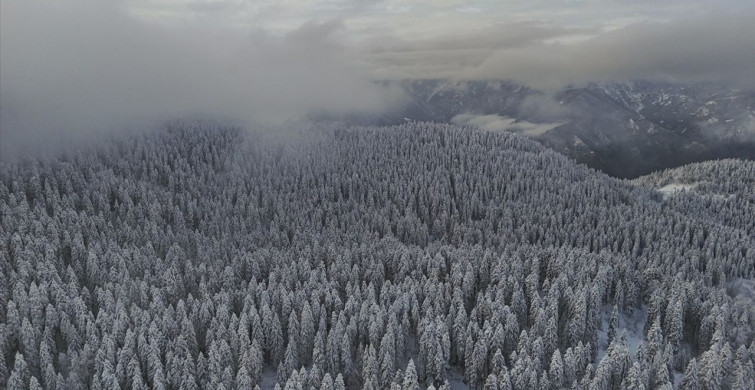 Karadeniz Bölgesi'nde Kar Yağışı Etkisini Sürdürüyor