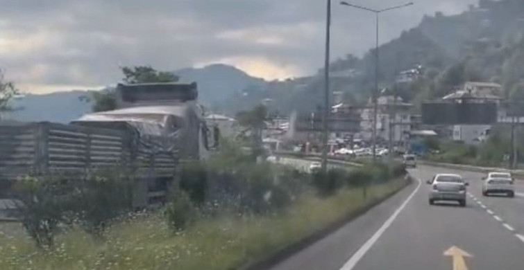 Karadeniz sahil yolunda ters yönde giden kamyon tehlike yarattı