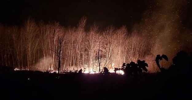 Karadeniz’de Çıkan 58 Orman Yangınından 45'i Kontrol Altına Alındı