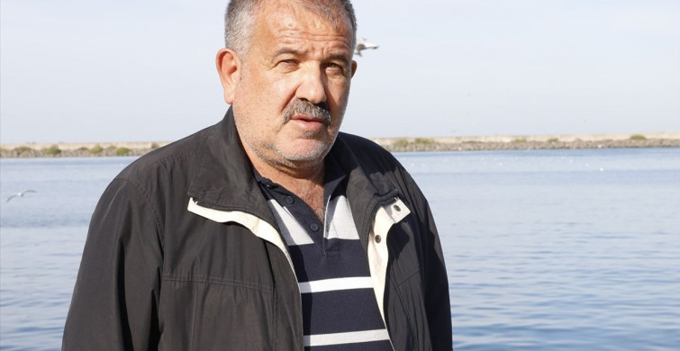 Karadeniz'de Hamsi Soğuk Sulara Yöneldi