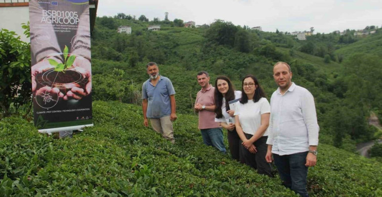 Karadeniz'de istilacı türlerin tarım ürünleri üzerindeki etkileri inceleniyor