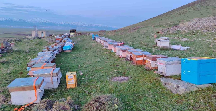 Karadeniz'in Gezgin Arıcıları Doğu Anadolu'ya Yola Çıktı