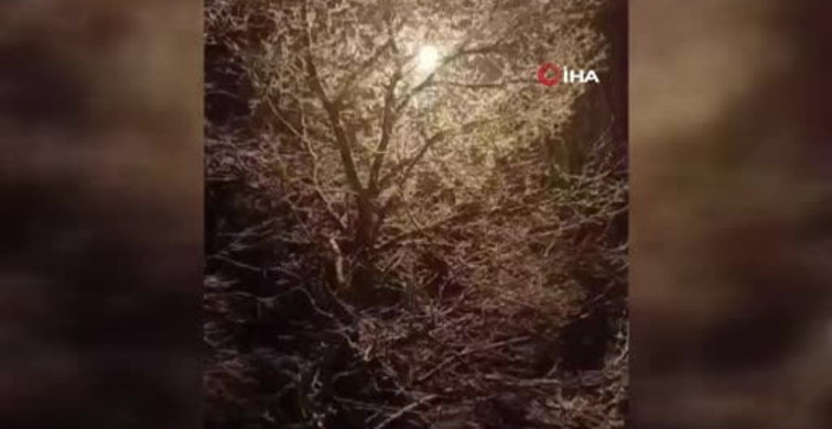 Karakoçan'da Kartpostallık Kar Manzaraları