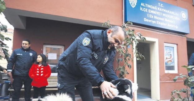 Karakoldaki Polisler Sokak Hayvanlarına Sahip Çıktı