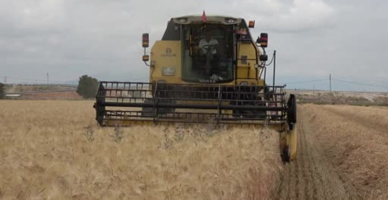 Karaman Ovası’nda yılın ilk arpa hasadı yapıldı