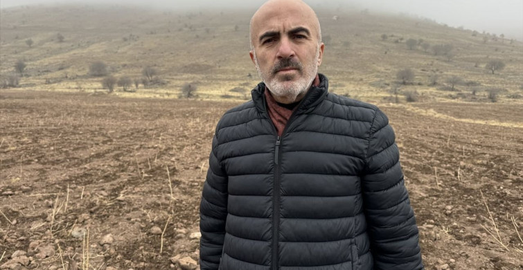 Karaman'da Yaban Domuzları Tarım Alanlarına Zarar Veriyor