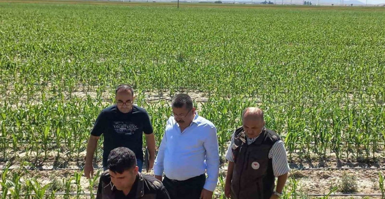 Karapınar'da dolu afetinin etkilediği alanlarda inceleme