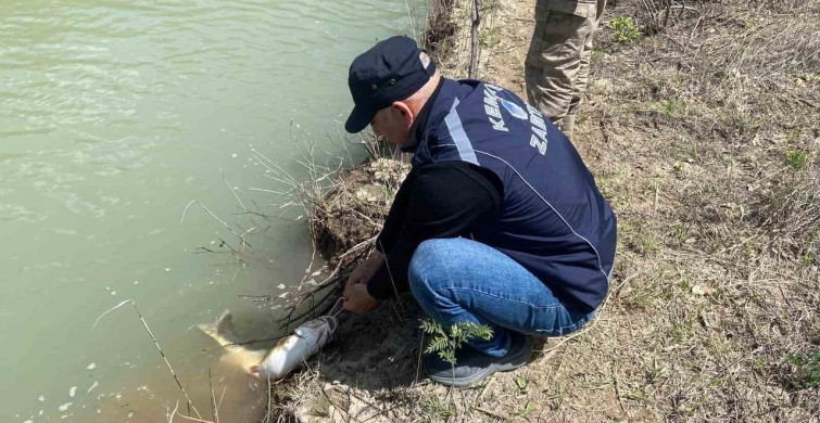 Karasu Nehri'nde Kaçak Avcılığa Karşı Denetim