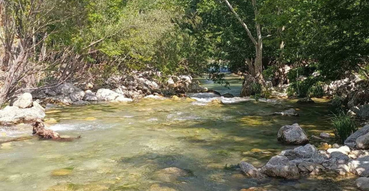 Karasu Vadisi, doğası ve buz gibi sularıyla insanları hayran bırakıyor