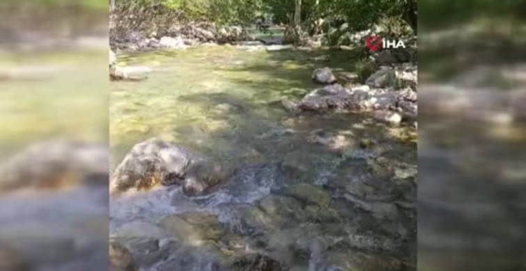 Karasu Vadisi'nin doğası ve serin suları ziyaretçileri cezbediyor