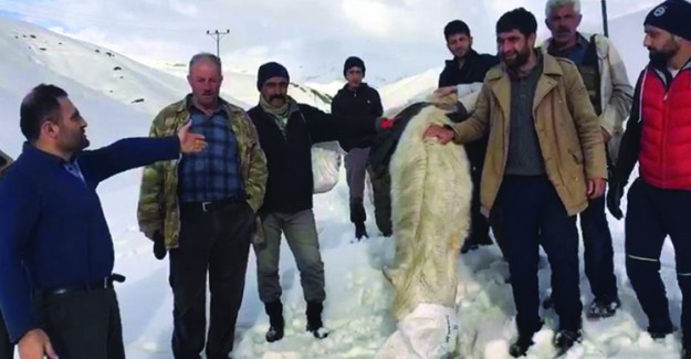 Karda Mahsur Kalan At 5 Saat Süren Uğraşlar Sonunda Kurtarıldı