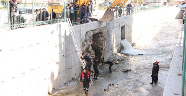 Kardeşi İçin Ölüme Atladı
