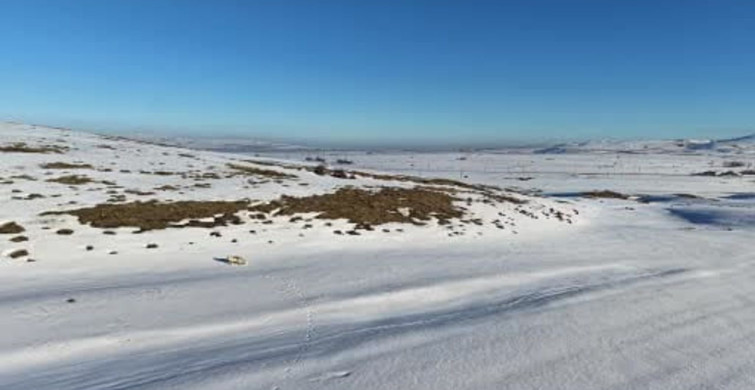 Karla Kaplı Arazide Yiyecek Arayan Tilki Dron ile Görüntülendi