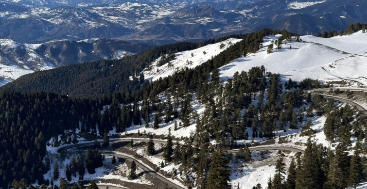 Karla Mücadele Çalışmaları Ardahan-Şavşat Yolunda Devam Ediyor