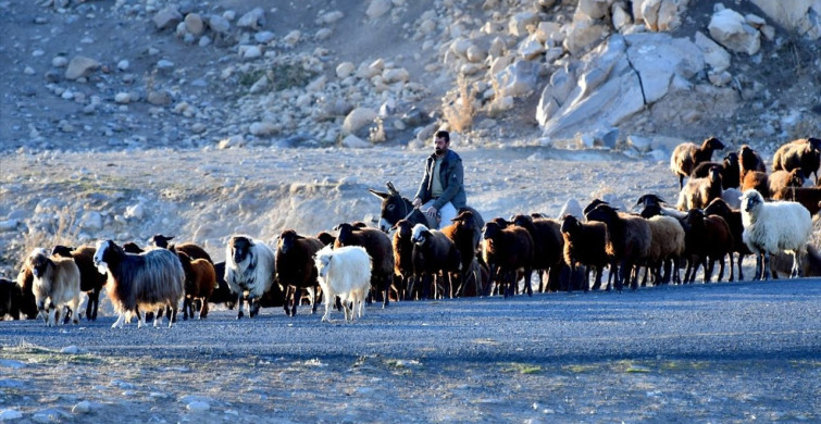Kars Yaylalarında Göçerlerin Dönüş Yolculuğu