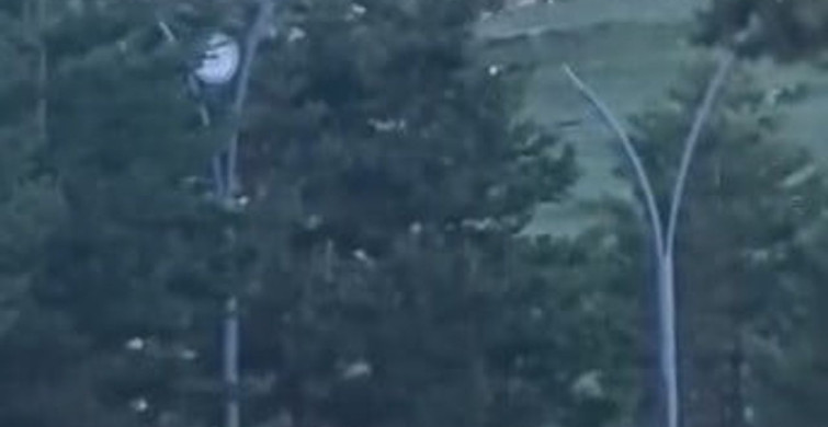 Kars’ta Ayılarla İç İçe Bir Yaşam