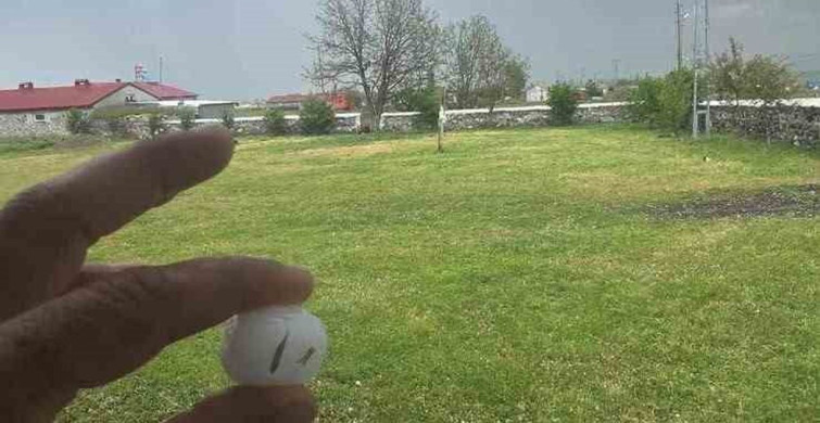 Kars’ta dolu yağışı tarım arazilerine zarar verdi